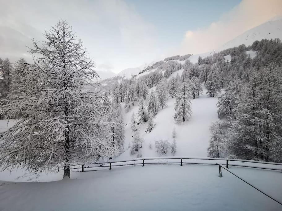 Cosy Apart, Ski Snow Surf, Foux D'Allos Avec Vue Extérieur photo